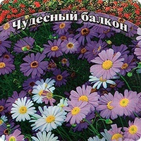 articul-A155985
