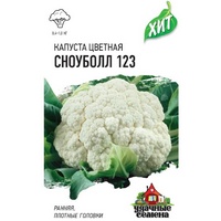 articul-A250323