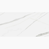 articul-A254555