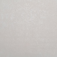 articul-A279580